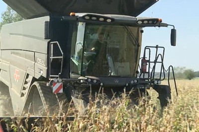 300 hektarų kukurūzais užsėjęs ūkininkas tikina – šiemet derlius nedžiugina