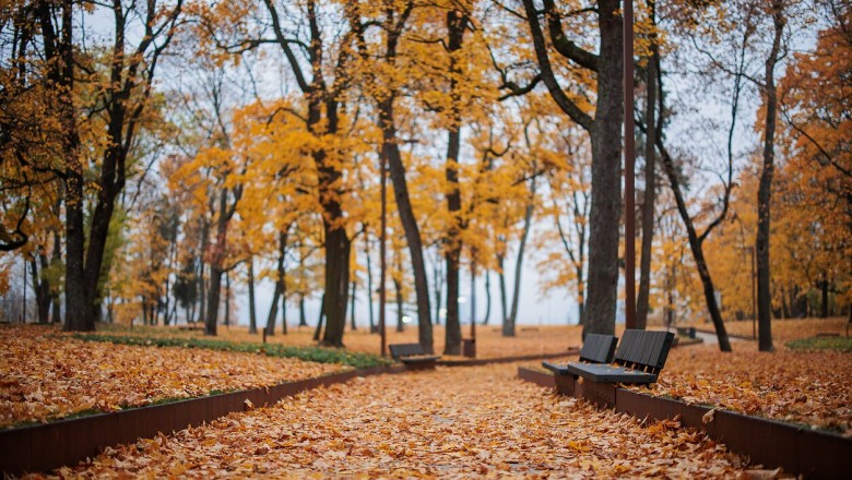 Orai: vienur nušvis saulė, kitur sulauksime trumpalaikio lietaus