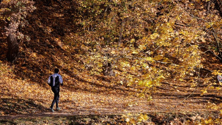 Po saulėto antradienio – orų pokyčiai: sugrįš lietus ir stipresnis vėjas