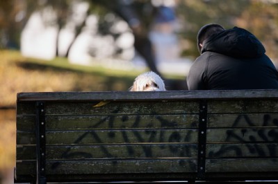 Sinoptikas: sausą ir saulėtą savaitės pradžią keis lietus ir vėjas